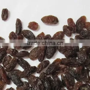Brown Sultana Raisin thumbnail-1