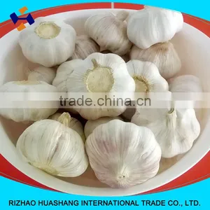 Red Fresh Garlic Size5.0cm thumbnail-1