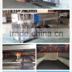 DUP-5000 Industrial Top and Bottom Spray Vegetable and Fruit Washing Cleaning Machine thumbnail-2