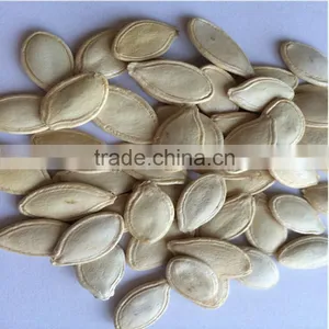 White Pumkin Seeds Shine Skin for Southeast Market thumbnail-1