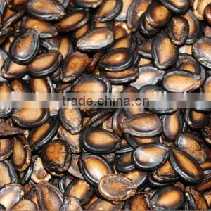 Bulk Chines Black Watermelon Seeds for Sell thumbnail-2