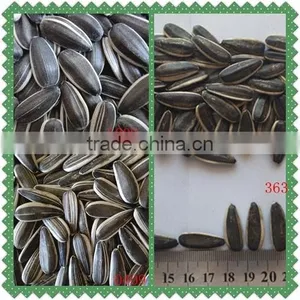 Cheap Bulk Chinese Organic Sunflower Seeds 5009 thumbnail-3
