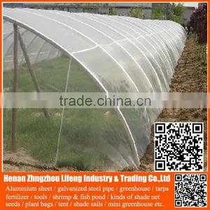 Top Product pe Greenhouse Anti Insect Proof Net , Plastic Vegetable Anti Insect Net , Nylon Agricultural Anti Insect Net thumbnail-1