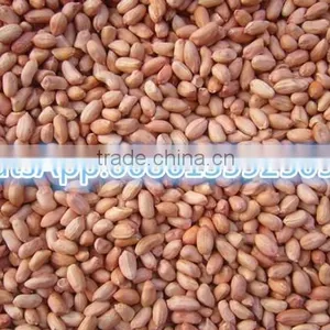 ISO Approved Peanut Oil Press Machine / Cold Press Oil Machine for Hot Sale thumbnail-3