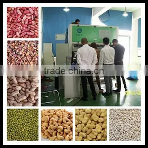 3-4T/H Sorting Machine for Beans With Nikon Lens 0086 371 65866393 thumbnail-1