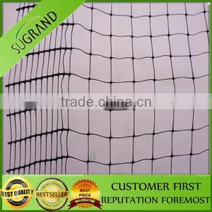 100% HDPE UV Agricultural Anti Bird Net / Fruit Tree Anti Bird Net thumbnail-6