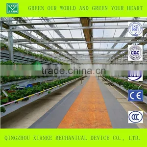 High Tunnel Greenhouse thumbnail-1