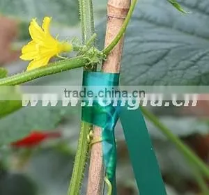 Colorful PVC Plastic Garden Tape thumbnail-3