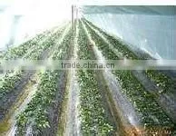 Blow Molding Greenhouse /mulch Film thumbnail-1