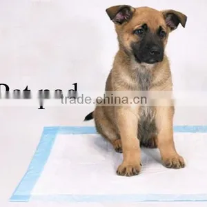 Magnetic Pet Pads thumbnail-1