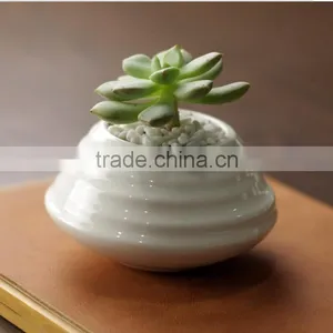 Attractive Desktop Decor Mini White Glazed Ceramic Planters thumbnail-2