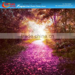 Glowing Paving Stone for Garden/illuminated Road Stone thumbnail-6