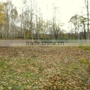 Real Estate Hokkaido Japan thumbnail-1