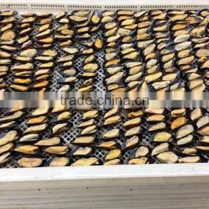 IQF Half Shell Blue Mussel thumbnail-3