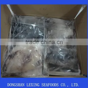 Frozen Peru Giant Squid Wing thumbnail-1