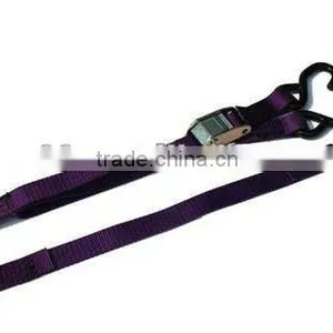 Cam Tie Down for PWC 1"x3' thumbnail-1