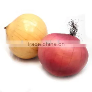 2 Decorative Fruits and Vegetables Artificial Onion Fake Fruits thumbnail-1