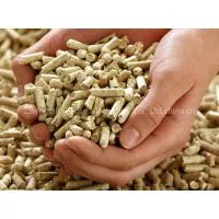 Wood Pellet Mill/Hot Sale Wood Pellet Machine/New Design Wood Pellet Mill thumbnail-3