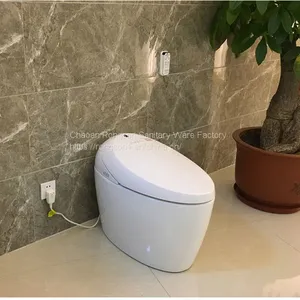 Auto Flush Function One Piece Ceramic American Standard Smart Toilet thumbnail-1