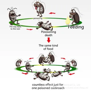 2019 OEM Accepted Good Quality TOPONE Cockroach Killer Station Killing Bait For Roach Insect Killer thumbnail-4
