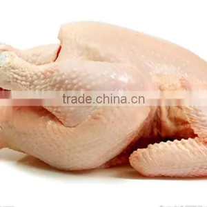 Injector Chicken Machine in 2015 With Good Price thumbnail-1