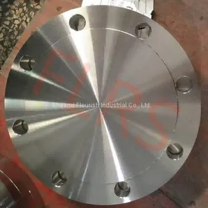 ps124070438-6_inch_forged_stainless_steel_pipe_blind_flanges_astm_a182_f316_asme_b16_5