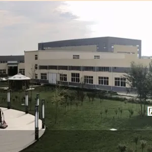 Shandong Dingchi Wood Group Co., Ltd company overview - view 2 thumbnail