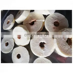 Commercial Banana Chips Fruit Chips Vacuum Freeze Dryer thumbnail-4