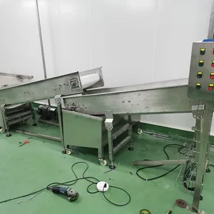 Automated Factory Supplier: Juice Bursting Ball Production Line, Cold Crystal Ball Manufacturing Machine thumbnail-4