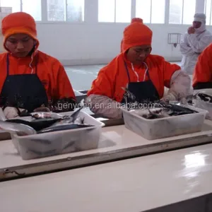 Canned Mackerel Fish Processing Line With Packaging Aluminum Alloy Cans thumbnail-6