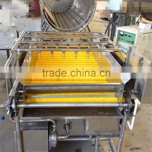 Potato Washing and Peeling Machine thumbnail-3