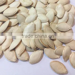 China New Crop Wholesale Shine Skin Pumpkin Seeds thumbnail-3