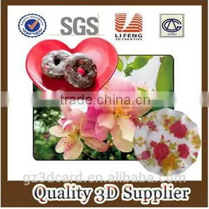 2015 Factory Supply Creative Lenticular PP/PET 3D Table Mat With Four Color Printing thumbnail-3