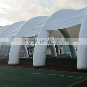 Inflatable Used China Marquee Tent Prices thumbnail-3