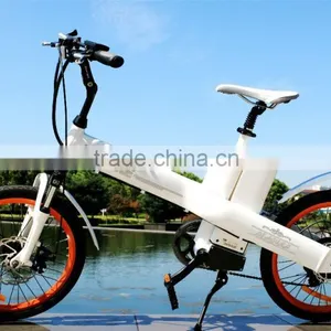 Seagull E-bike Li-ion Battery Case thumbnail-3