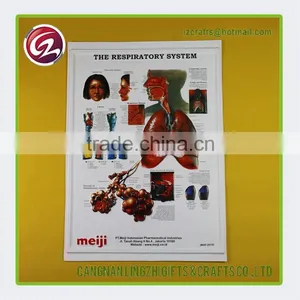 Wholesale Cheap Custom English Wall Chart thumbnail-1