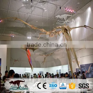 2016 Vivid Life Size Replica Dinosaur Fossils For Sale thumbnail-6