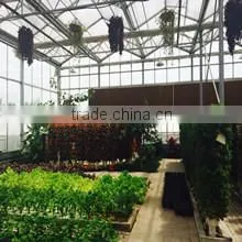 Xi'an Chunhefang Import & Export Co., Ltd. company overview - view 1 thumbnail
