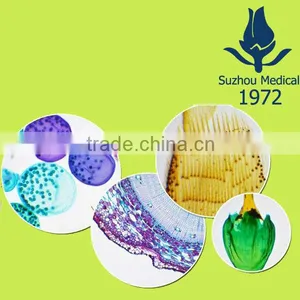 Microscope Prepared Slides thumbnail-1
