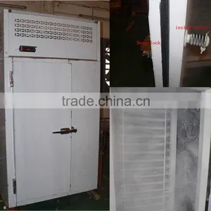 Stainless Steel Blast Freezer for Beef thumbnail-3