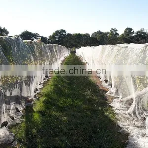 (20 Years Shanghai Factory) Hot Selling , New Arrival, Floriculture HDPE Vineyard Net on Semillon Vine , 33 GSM / 20101-33 thumbnail-3