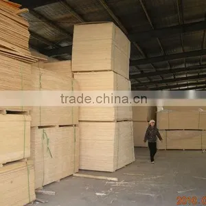 High Quality LVL From Shandong thumbnail-4