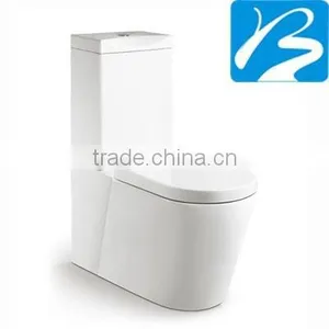 European Standard Washdown Two Piece Toilet thumbnail-1