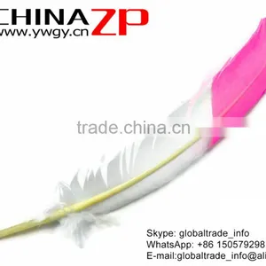 ZPDECOR Wholesale Cheap Bulk Pink Half Dipped Bicolourable Turkey Feathers for Fashion Decorations thumbnail-2