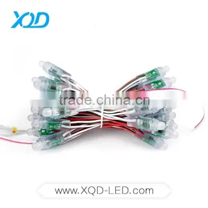 12MM WS 2811 Led Pixel Light for Christmas Use in Outdoor Waterproof IP68 DV5 thumbnail-1