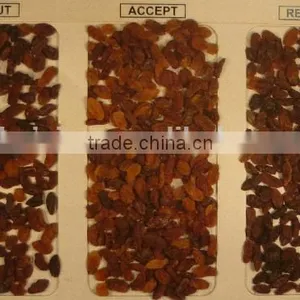 2016 With 5000+pixel Raisins Color Sorter With Fast Detection and High Identification Rate,raisins Grading Machine thumbnail-3