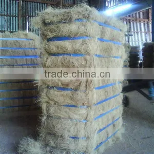 COCONUT FIBER thumbnail-1