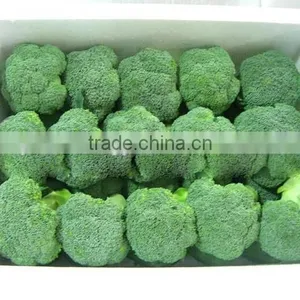 Fresh Broccoli thumbnail-4