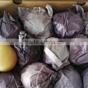 New Crop 2016 Fresh Pear thumbnail-3