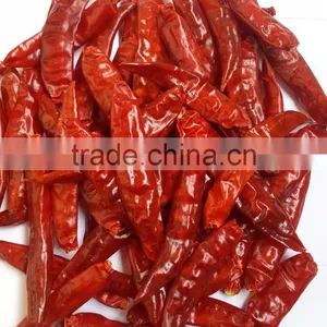Exporters of Sanam Chilli/S 4 Chilli/S 334 Chilli thumbnail-2